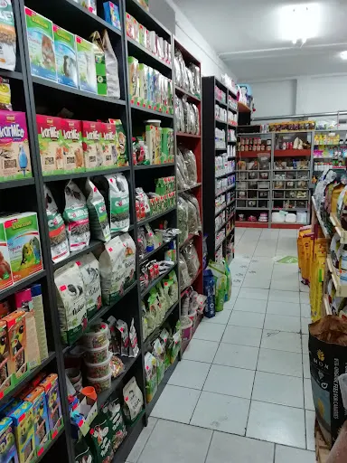 AMAZONIA sklep zoologiczny